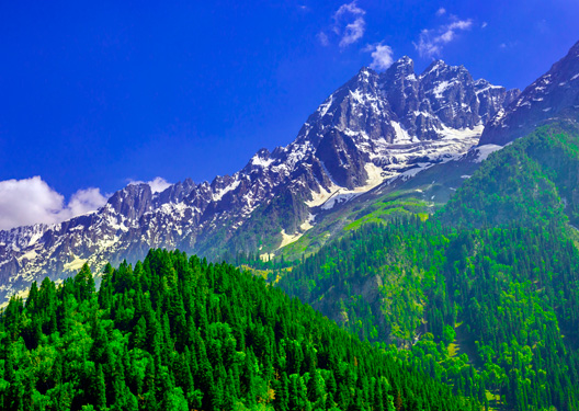 traveldilse-Experience Kashmir